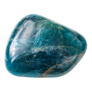 Gold Paperclip Chain Bracelet