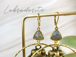 Cicada Gemstone Earrings