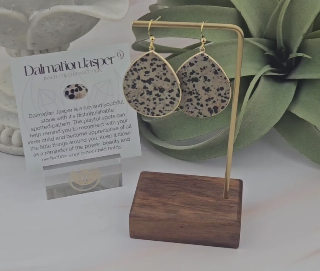 Dalmatian Jasper Earrings - Natural Gemstone Teardrop Earrings - Stainless Steel - Affirmation Jewelry